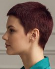 Cabelo curt�ssimo para mulheres