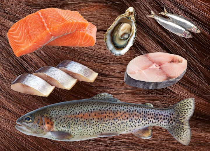 Tipos de peixe que fazem bem pro seu cabelo